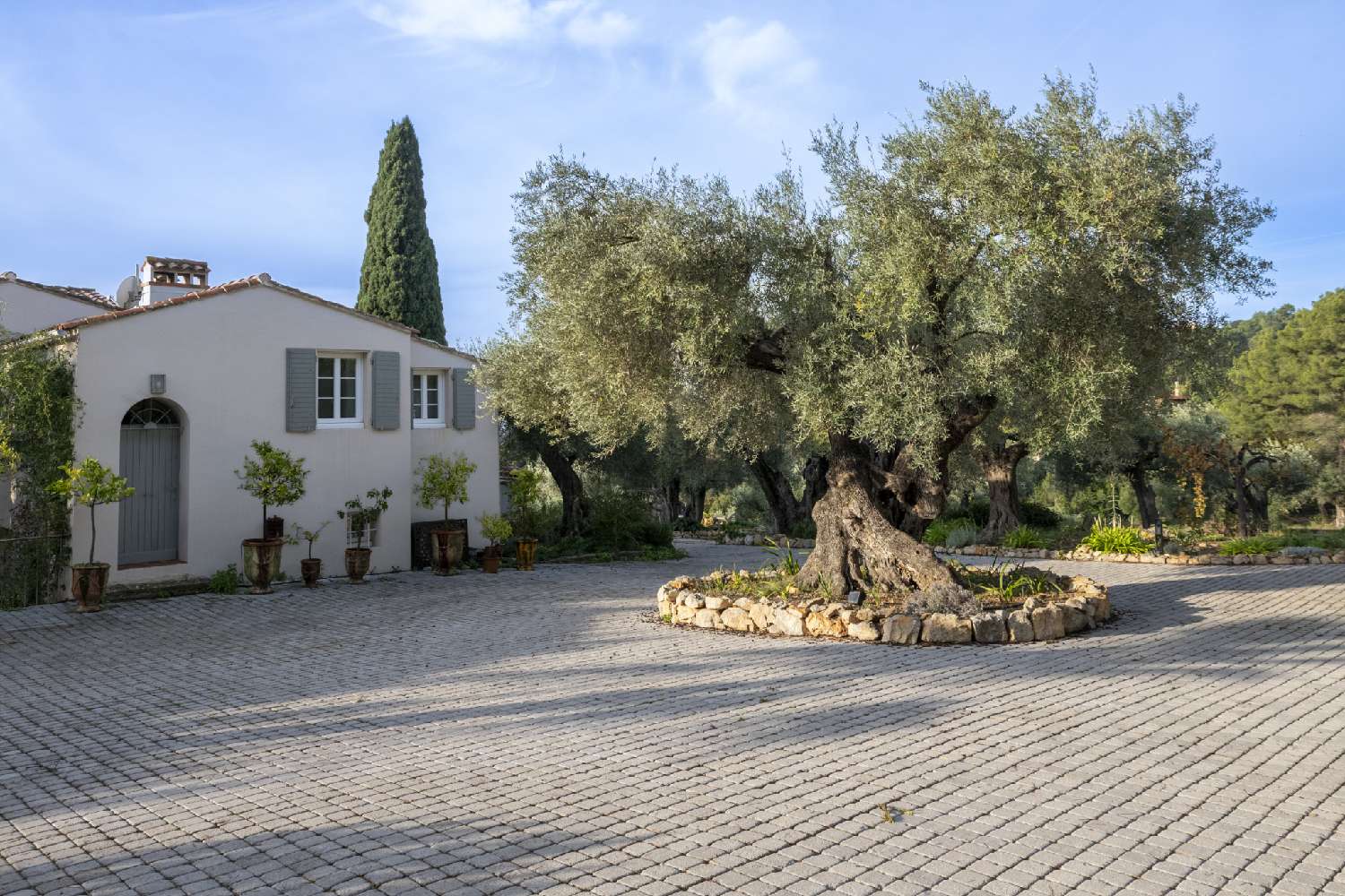 à vendre villa Sanary-sur-Mer Var 5