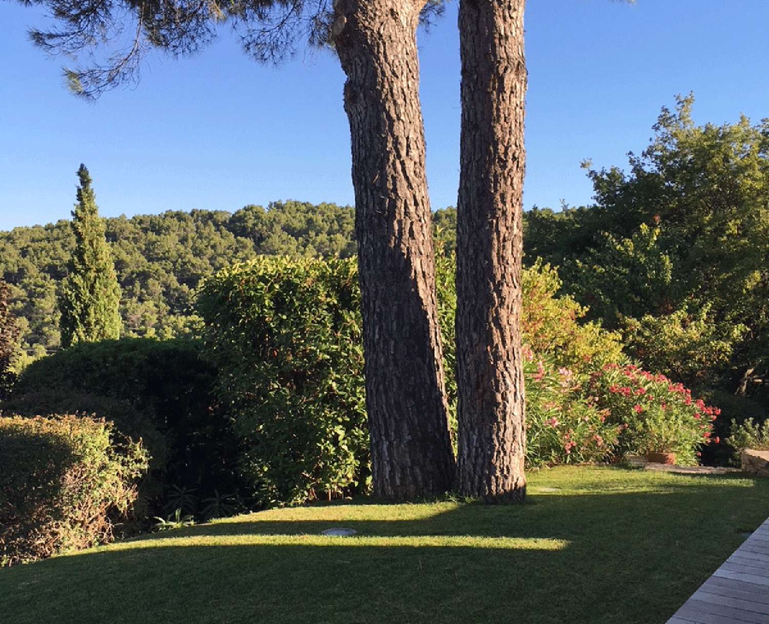  te koop villa Seillans Var 5