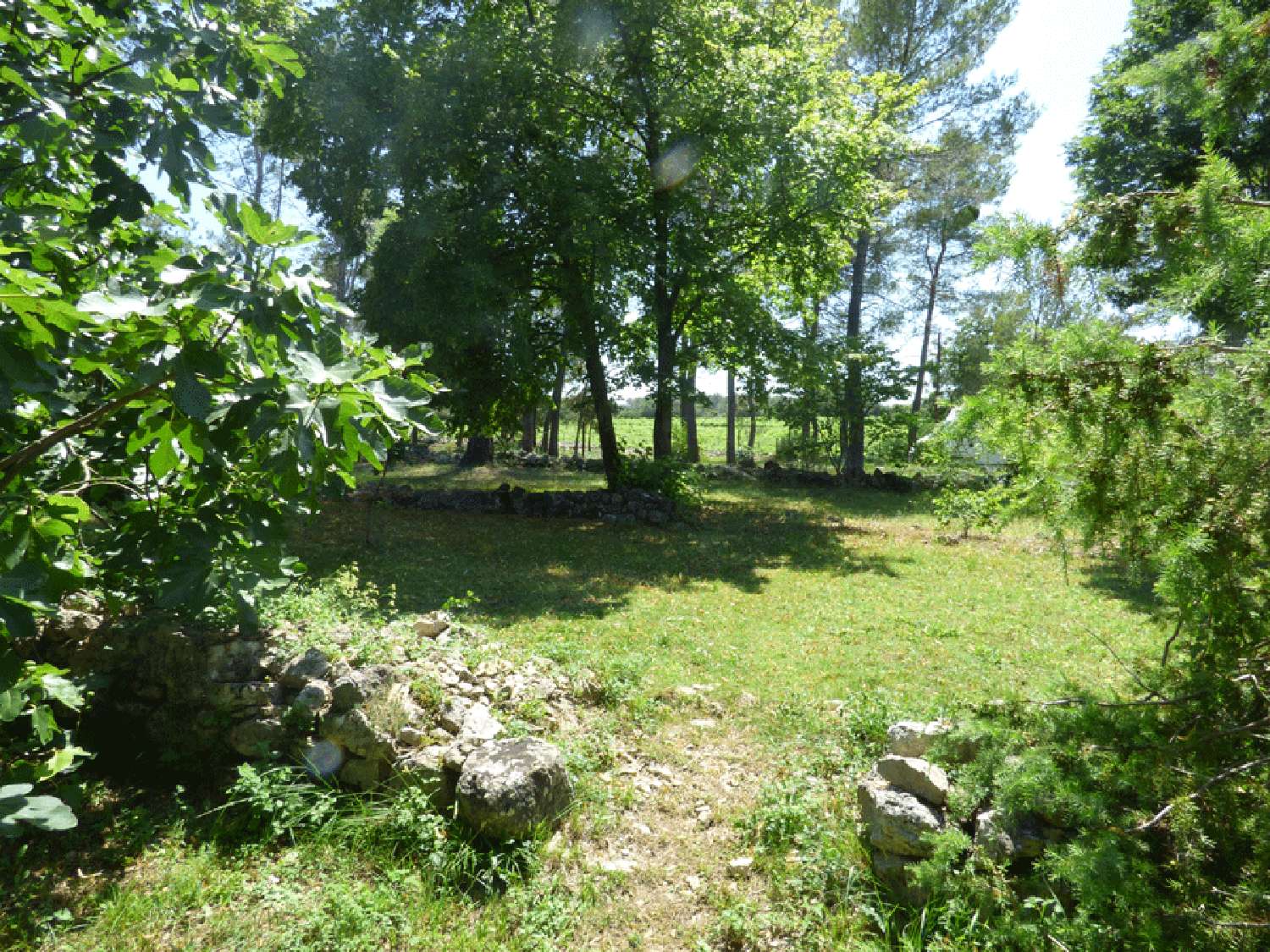  te koop villa Seillans Var 8