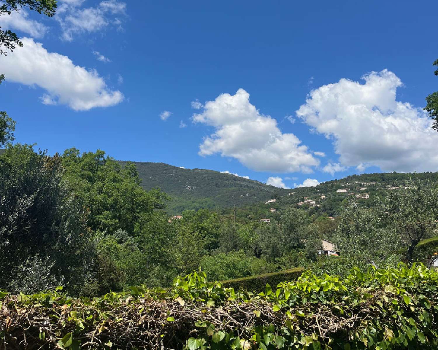 for sale villa Seillans Var 3