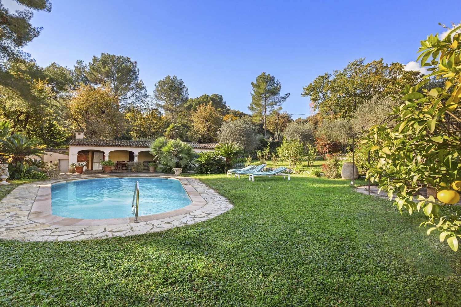  te koop villa Spéracèdes Alpes-Maritimes 3