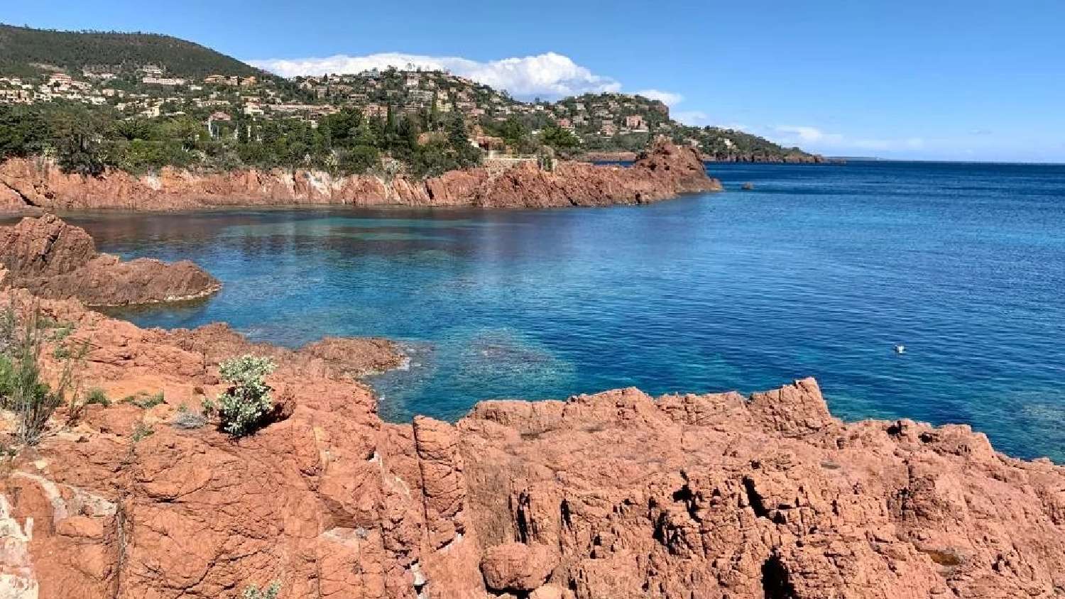  kaufen Villa Théoule-sur-Mer Alpes-Maritimes 3