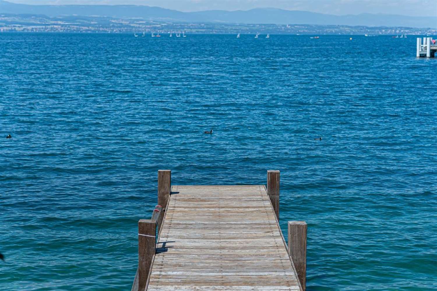 te koop villa Thonon-les-Bains Haute-Savoie 6