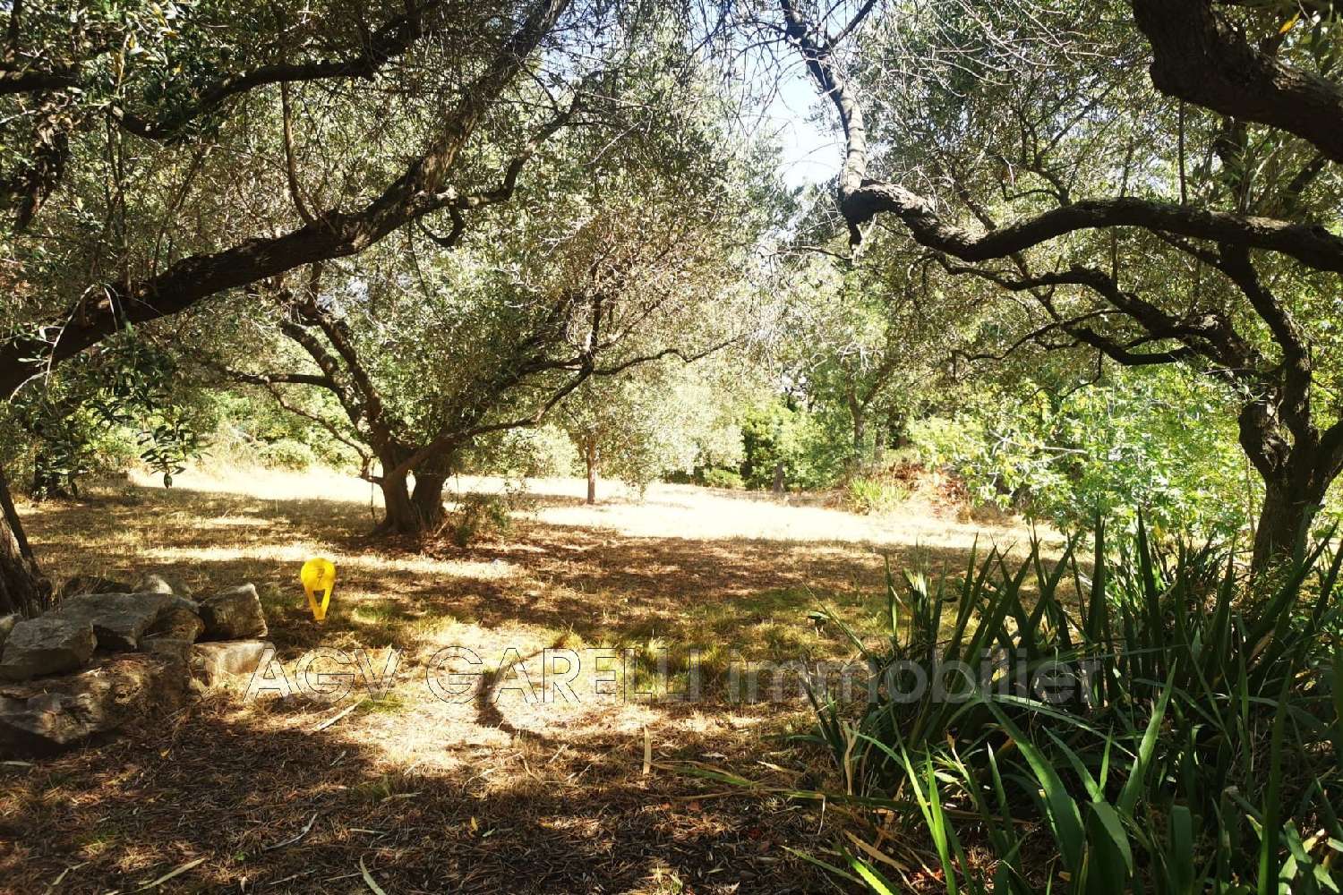  à vendre villa Toulon Var 1