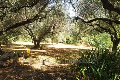 Toulon Var villa foto 7305989