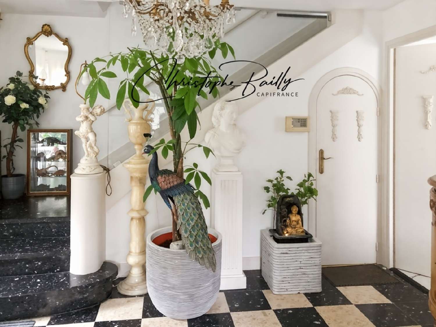  te koop villa Toulouse 31400 Haute-Garonne 8