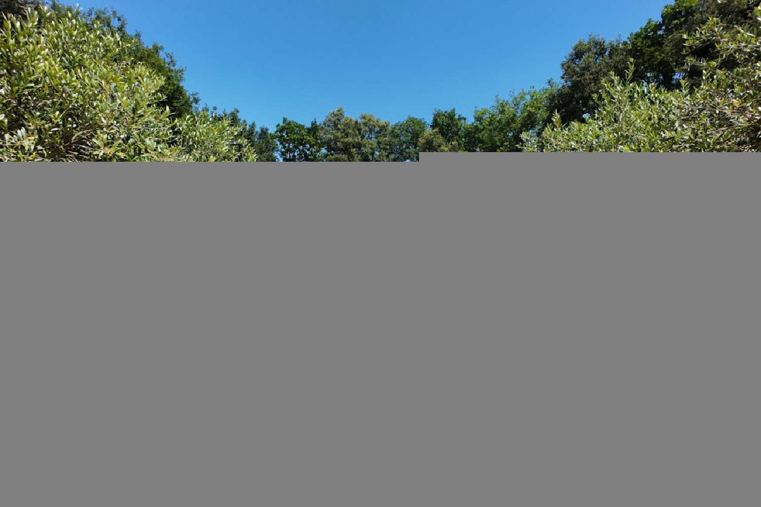  for sale villa Uzès Gard 1