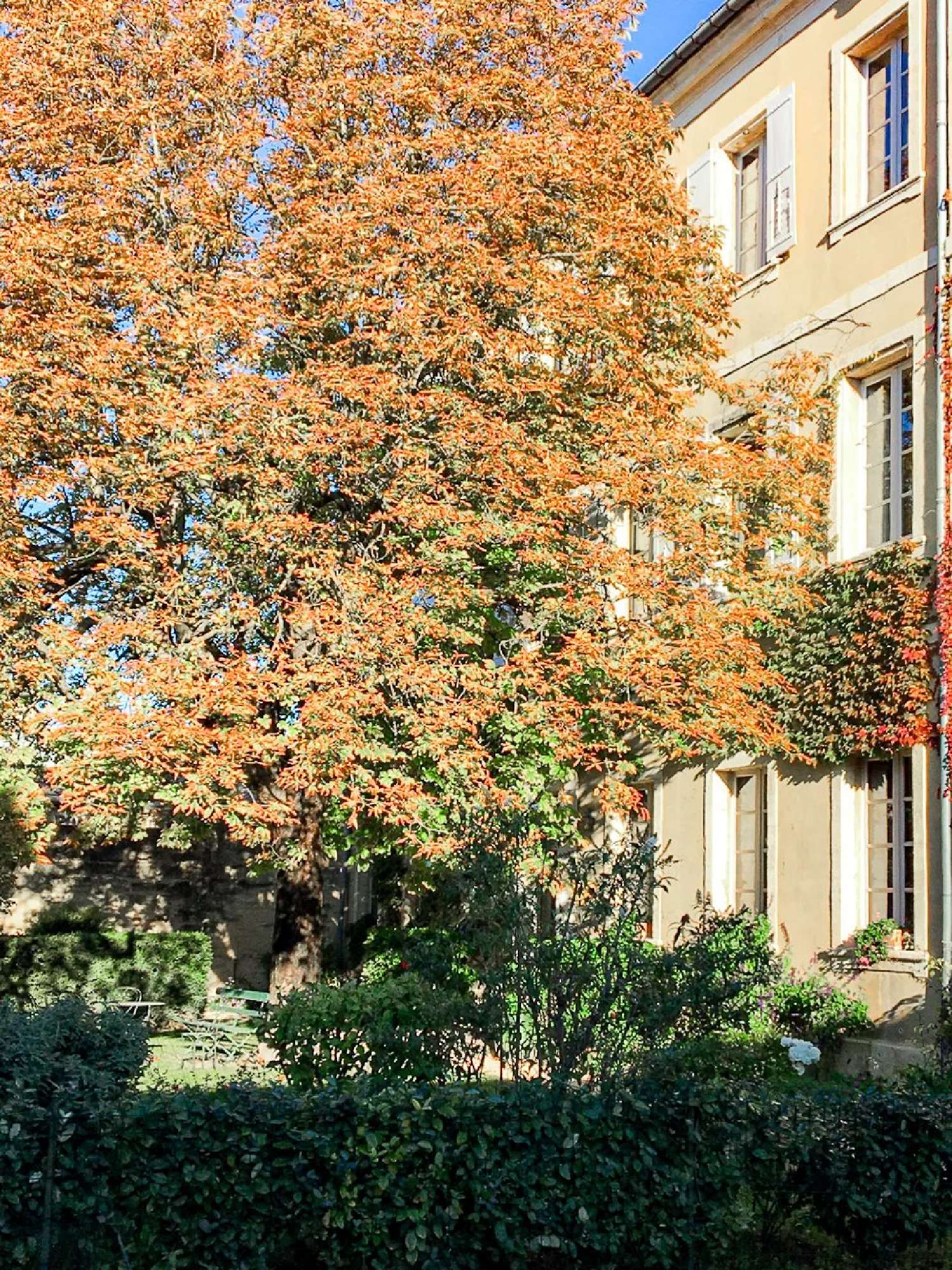  en venta villa Uzès Gard 3