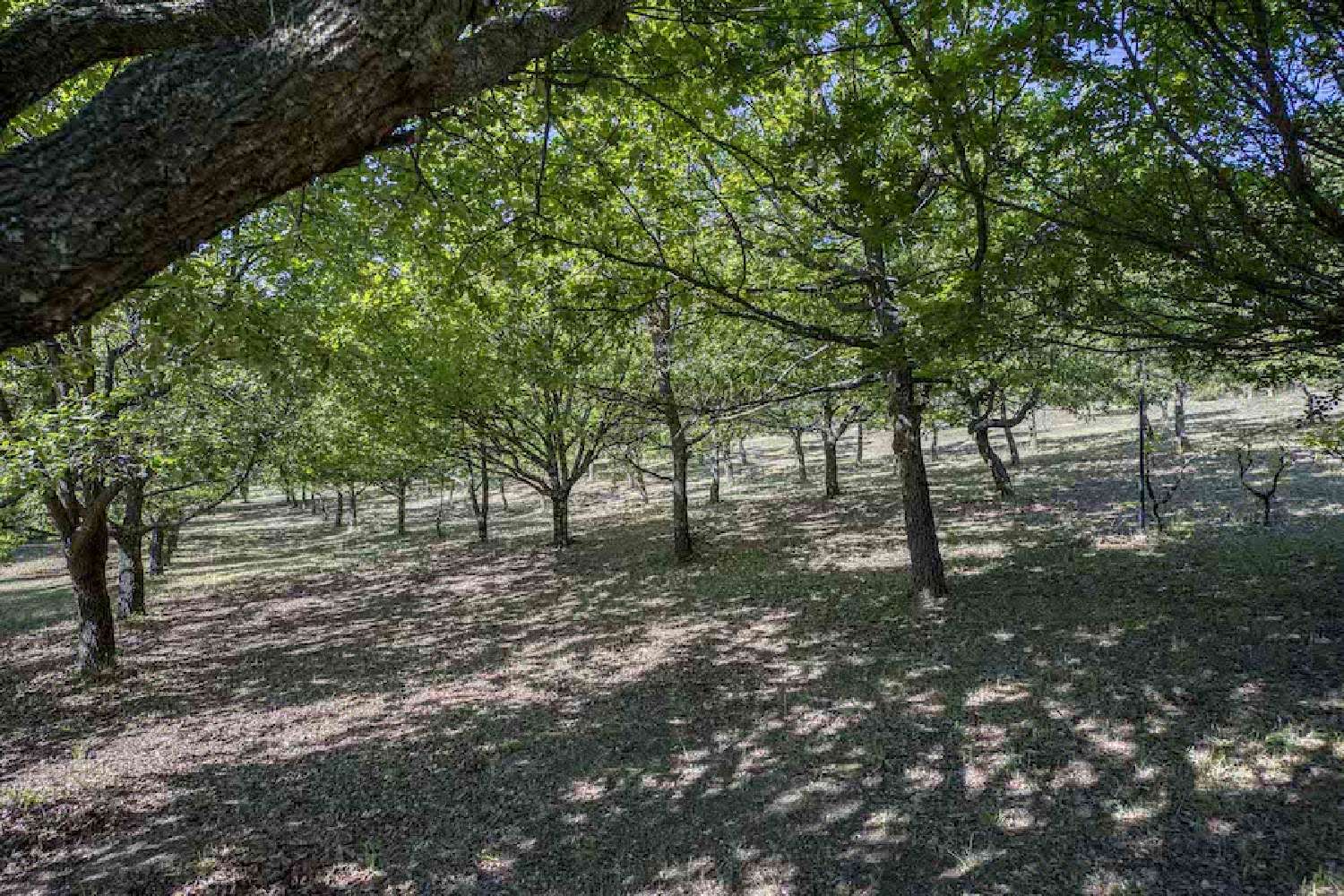  à vendre villa Vaison-la-Romaine Vaucluse 6