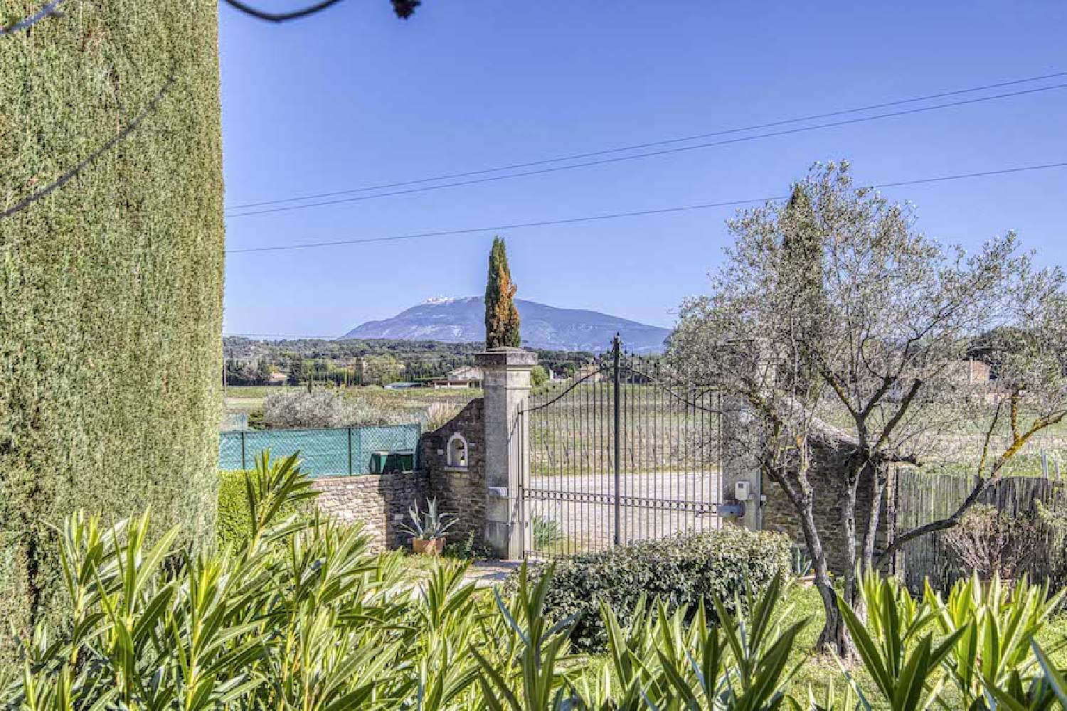  à vendre villa Vaison-la-Romaine Vaucluse 3