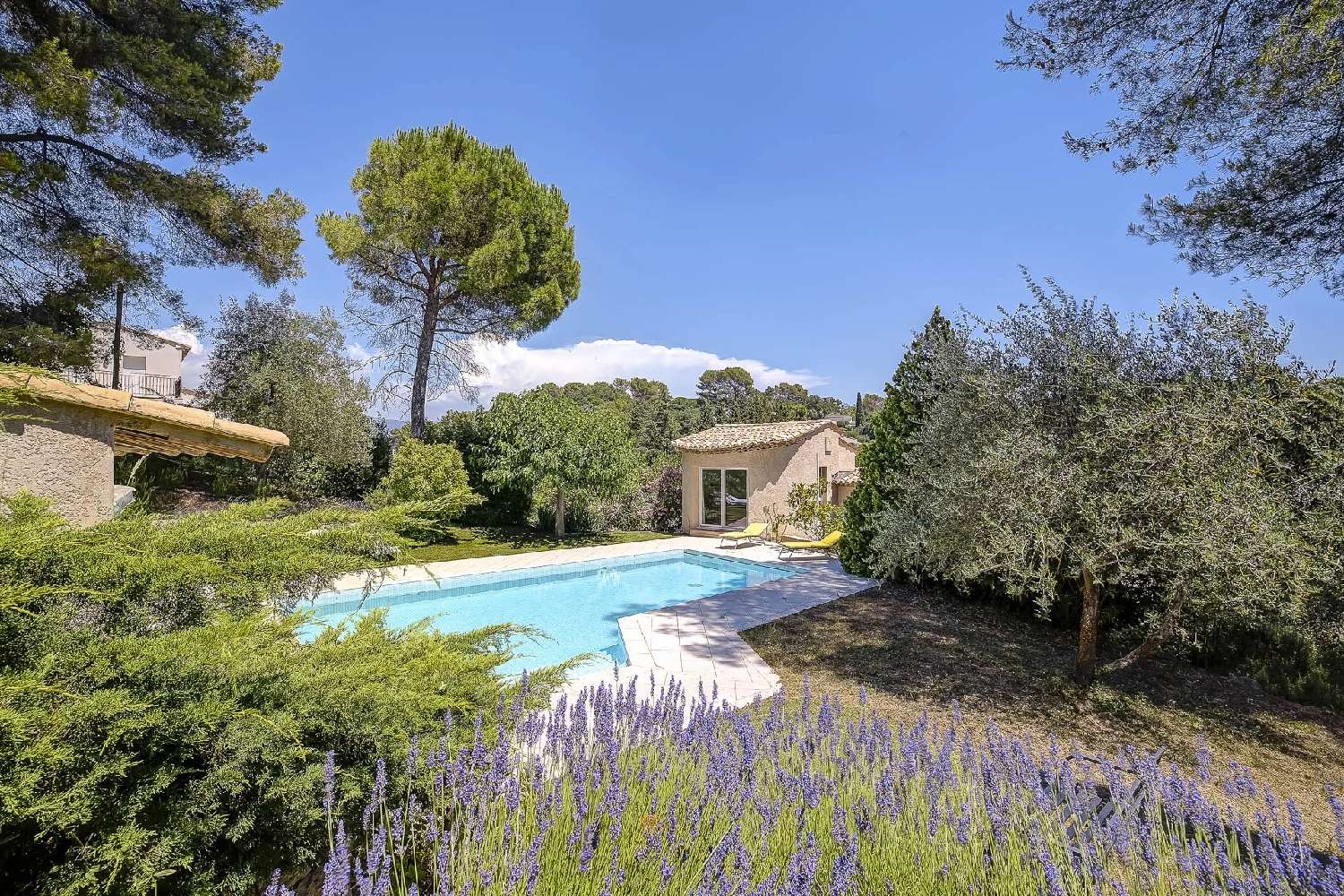  en venta villa Valbonne Alpes-Maritimes 5