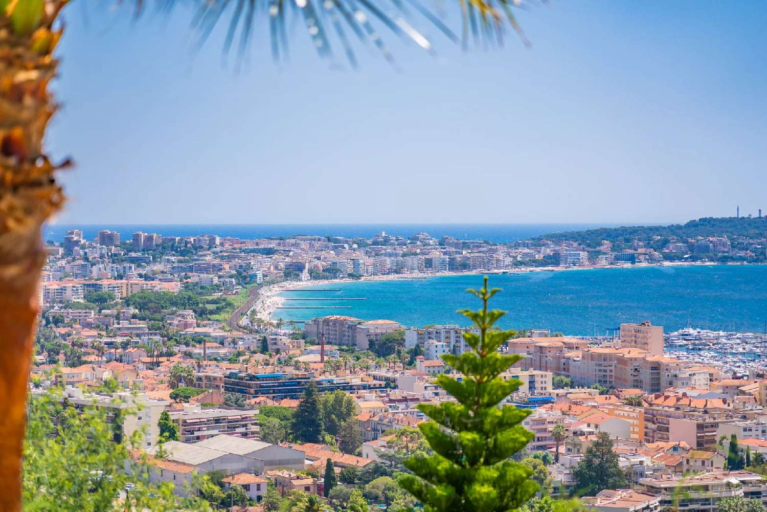  kaufen Villa Vallauris Alpes-Maritimes 2