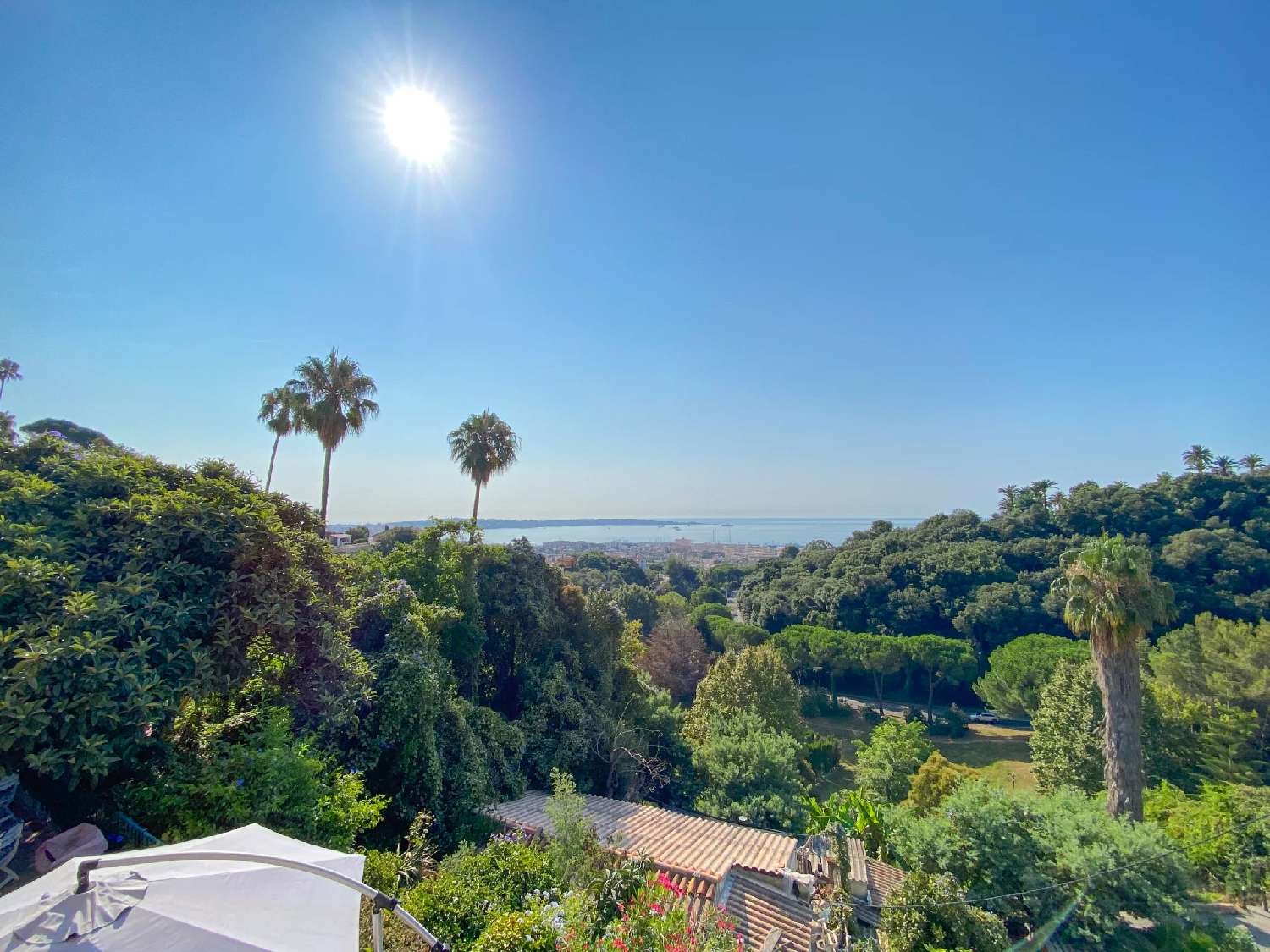 for sale villa Vallauris Alpes-Maritimes 3