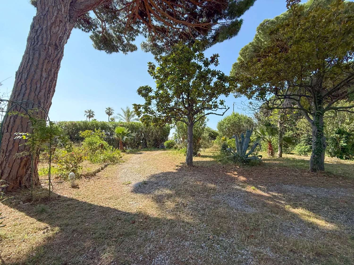 te koop villa Vallauris Alpes-Maritimes 4