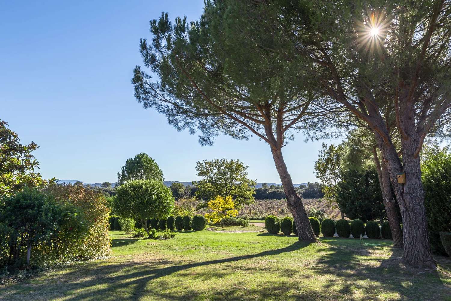 en venta villa Vaugines Vaucluse 3