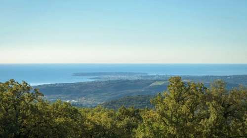 Vence Alpes-Maritimes villa foto 7309236