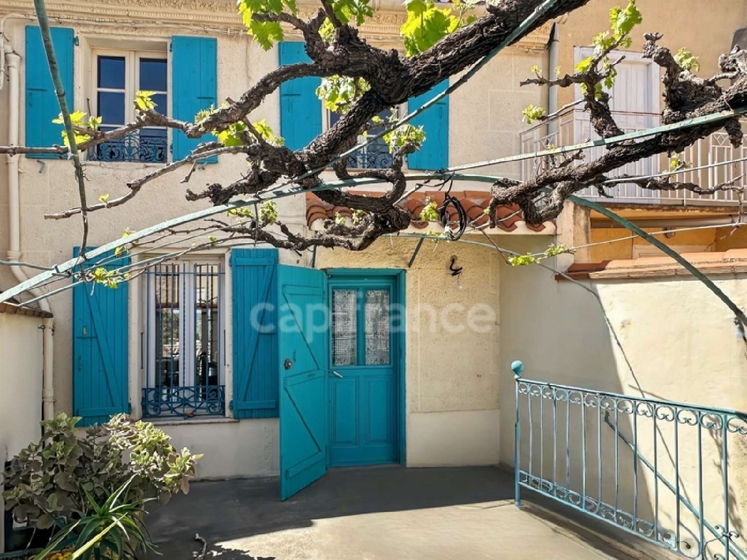  te koop dorpshuis Banyuls-dels-Aspres Pyrénées-Orientales 6