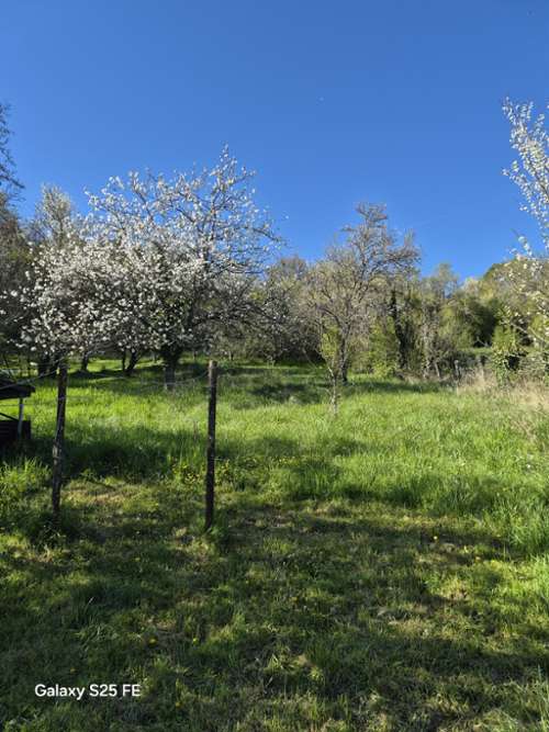 Bétaucourt Haute-Saône Dorfhaus Bild 7320300