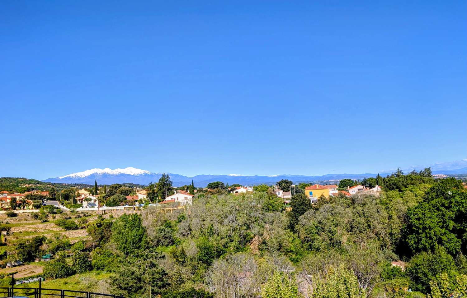  à vendre maison de village Laroque-des-Albères Pyrénées-Orientales 1