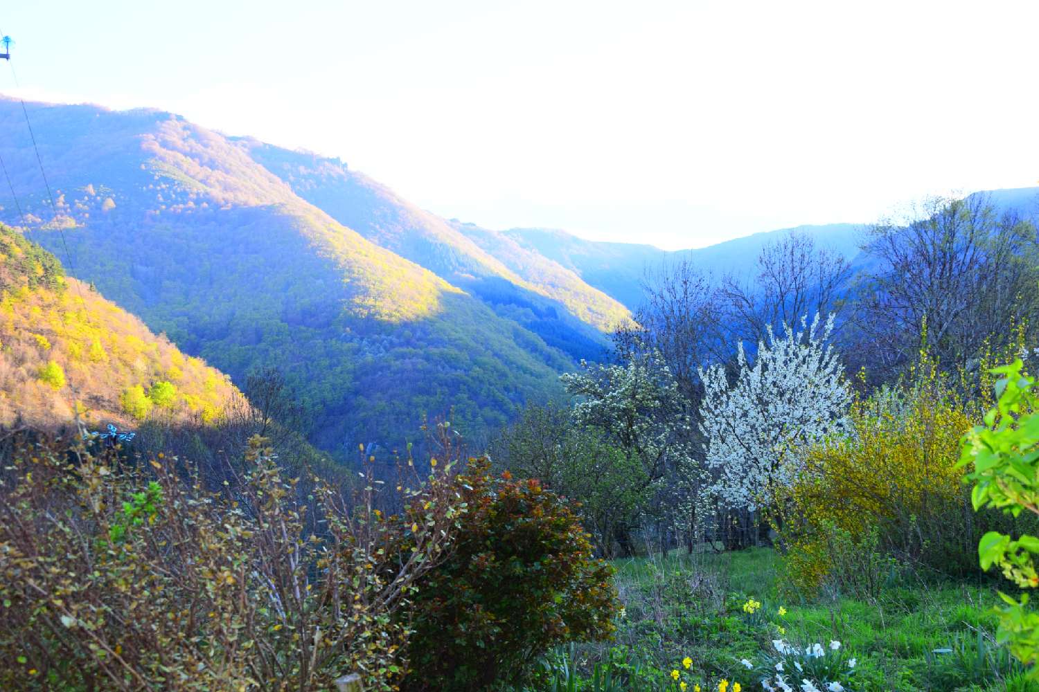  kaufen Dorfhaus Le Roux Ardèche 7