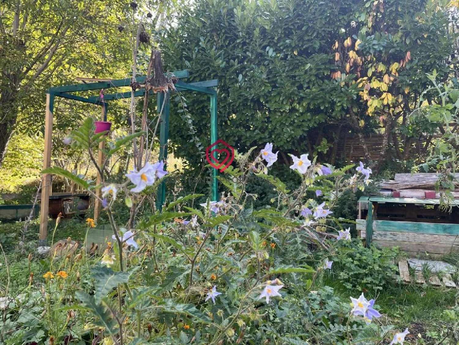  for sale village house Limoux Aude 7