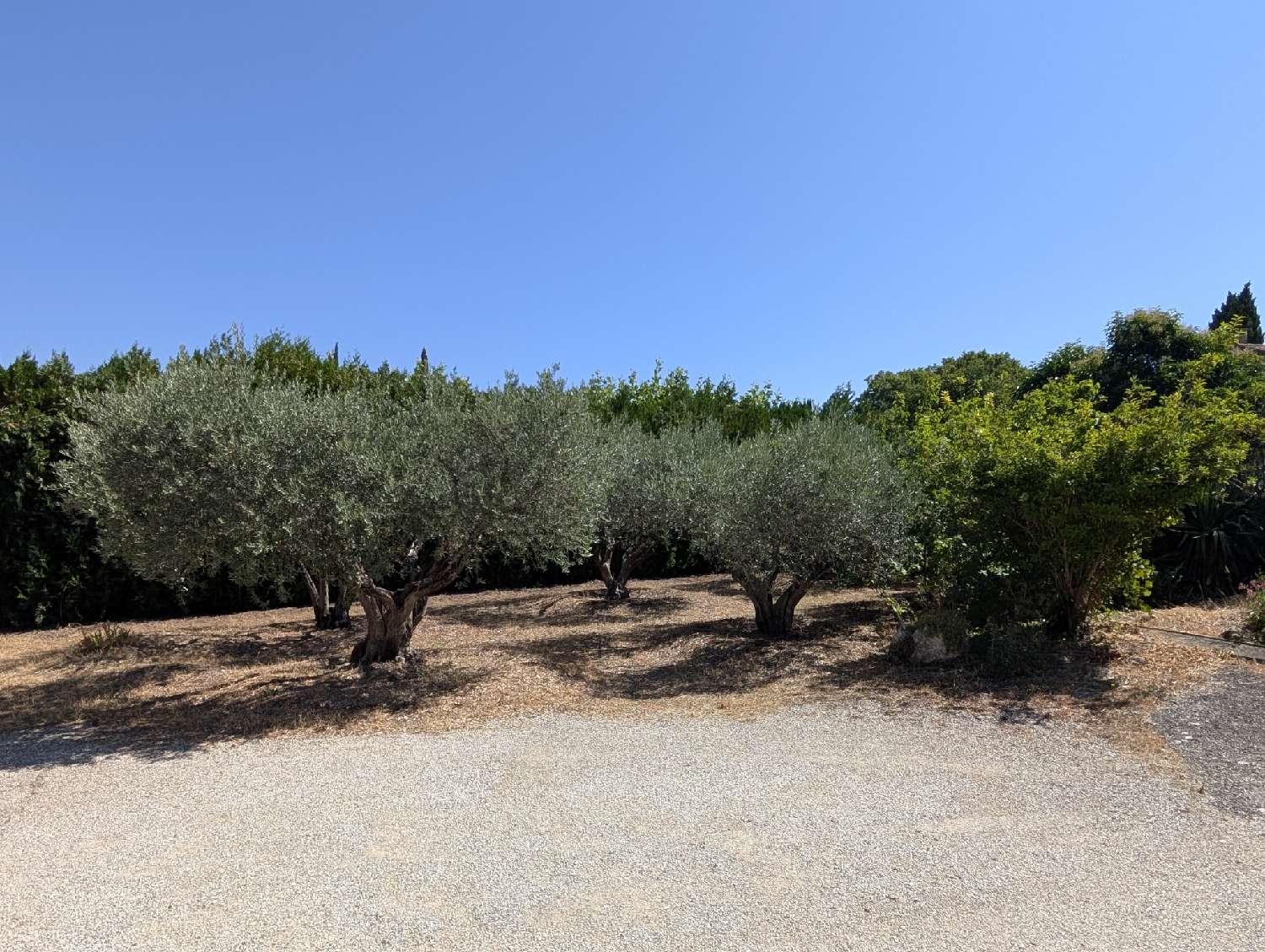  à vendre maison de village Maubec Vaucluse 2