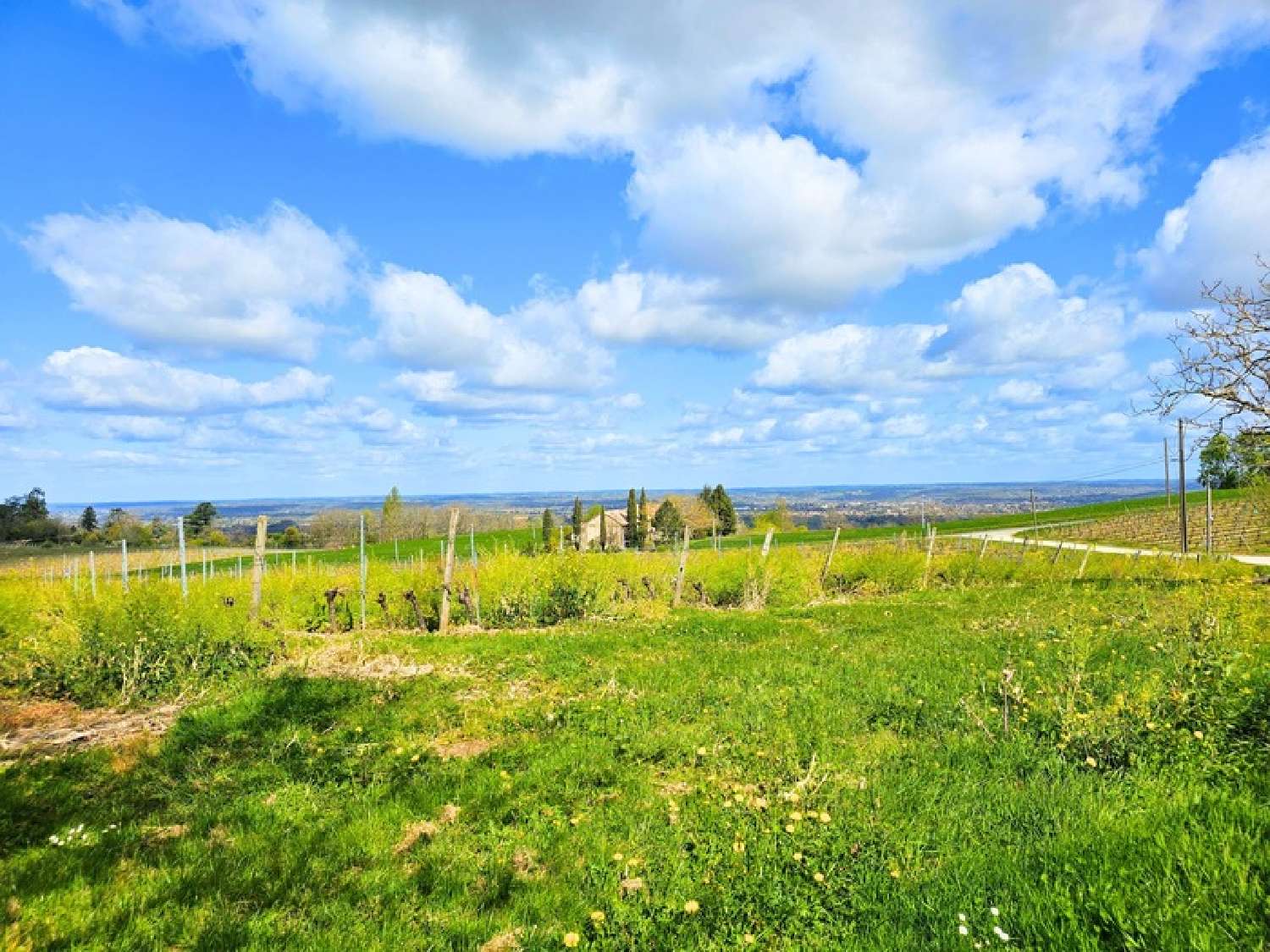  kaufen Dorfhaus Monbazillac Dordogne 5