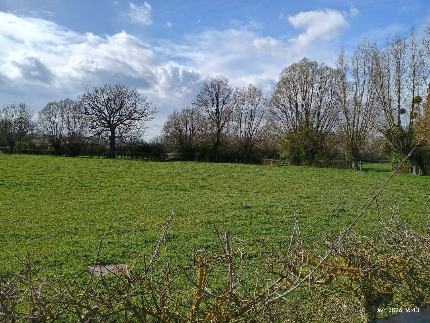  for sale village house Noyelles-sur-Sambre Nord 3