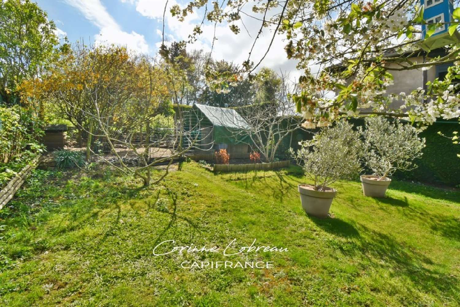  for sale village house Pierreclos Saône-et-Loire 2