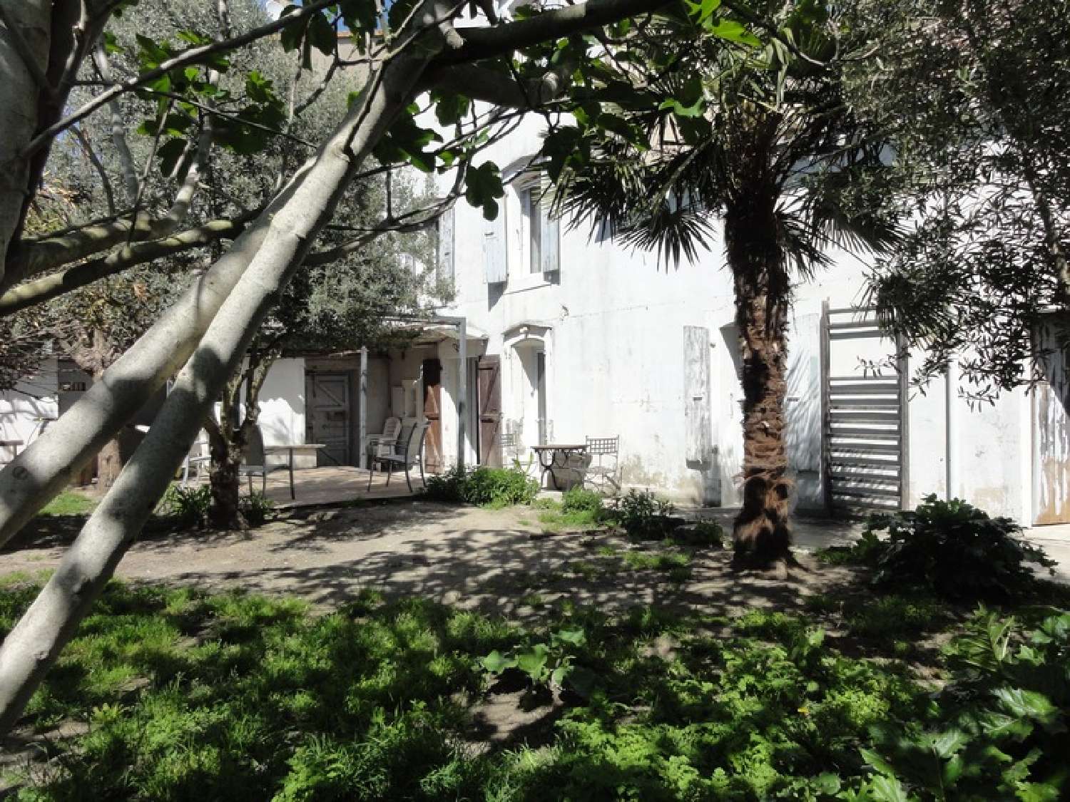  for sale village house Saissac Aude 1