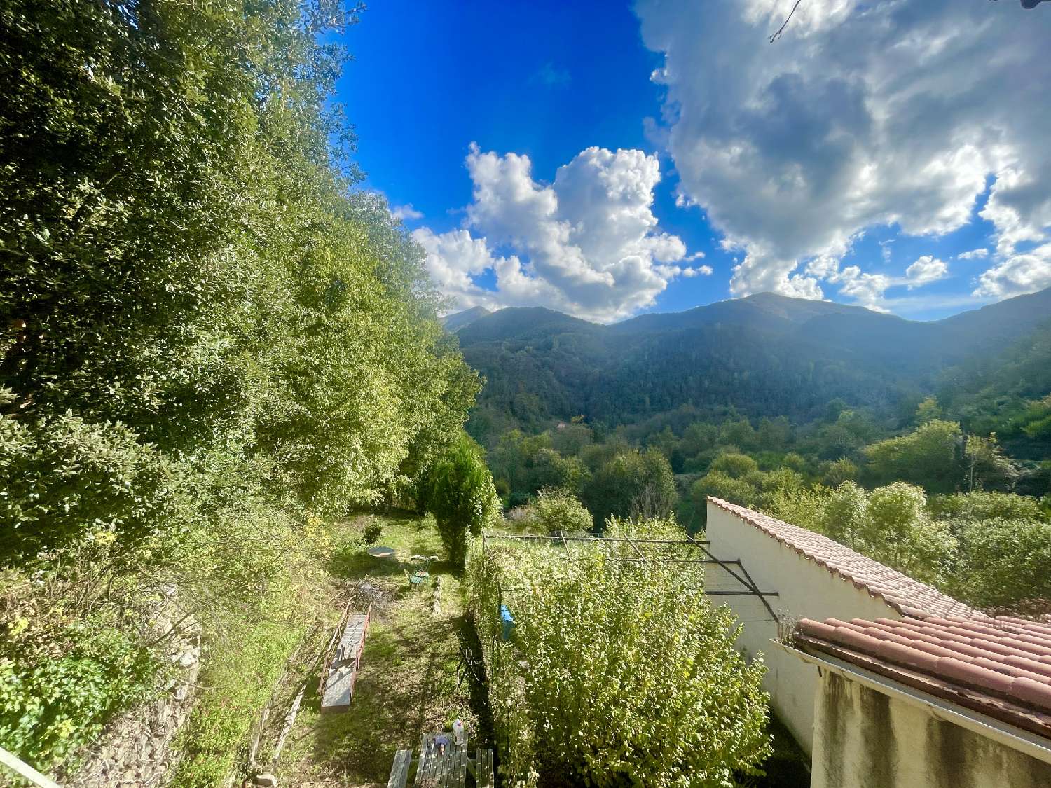 for sale village house Serralongue Pyrénées-Orientales 4