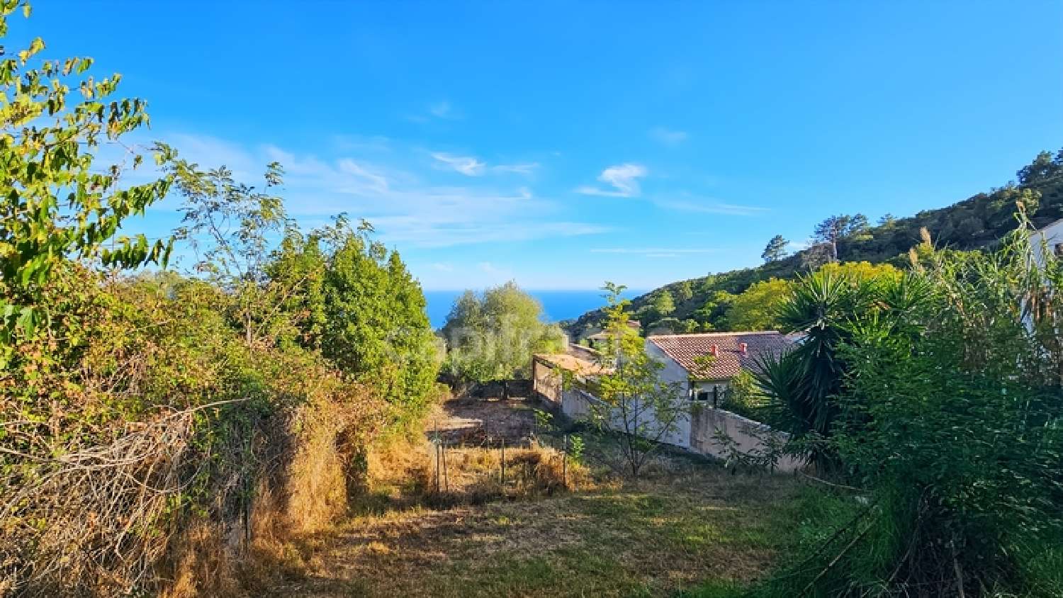 kaufen Dorfhaus Solenzara Corse-du-Sud 1