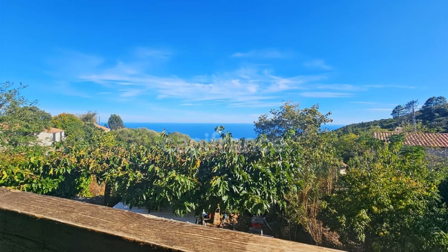 kaufen Dorfhaus Solenzara Corse-du-Sud 2