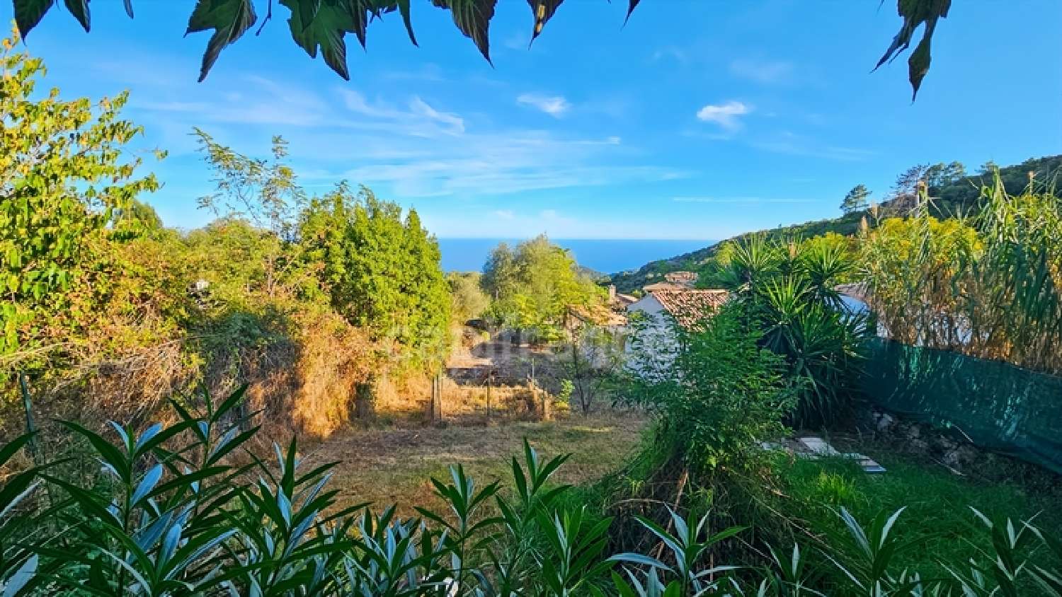 kaufen Dorfhaus Solenzara Corse-du-Sud 4