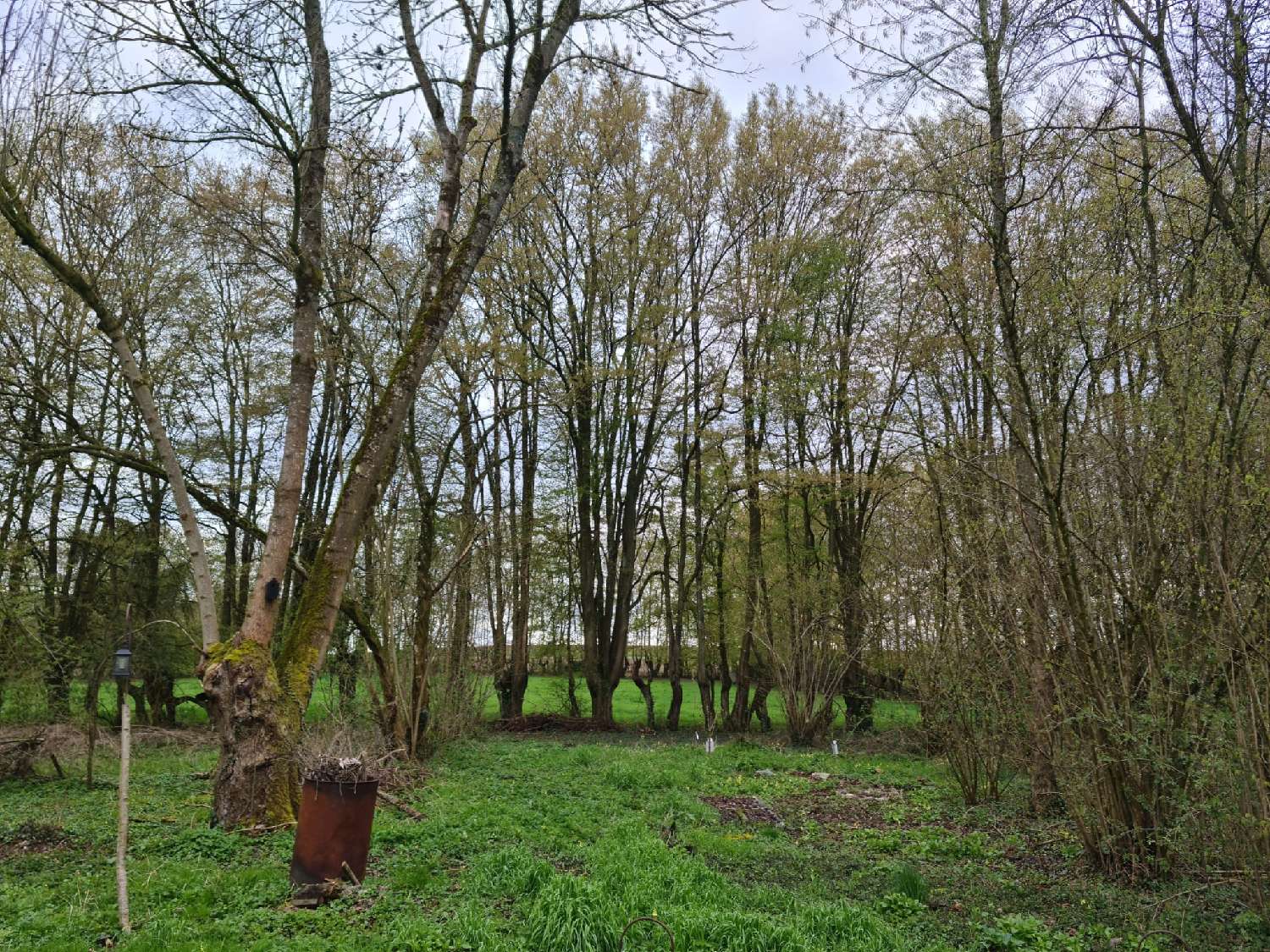  kaufen Dorfhaus Thenailles Aisne 5