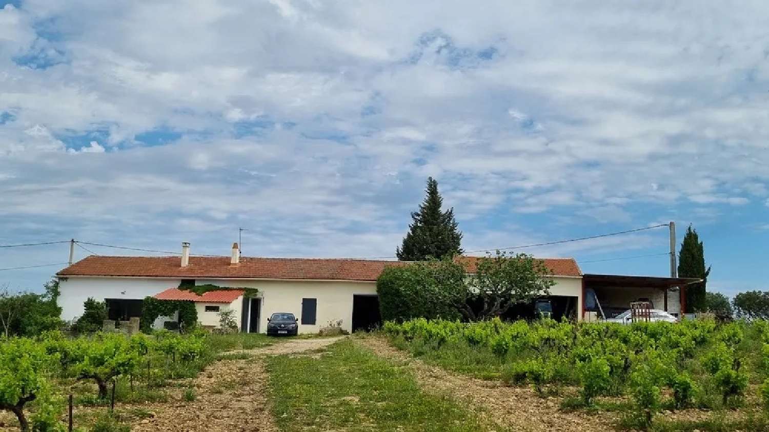  te koop wijngaard Avignon Vaucluse 2