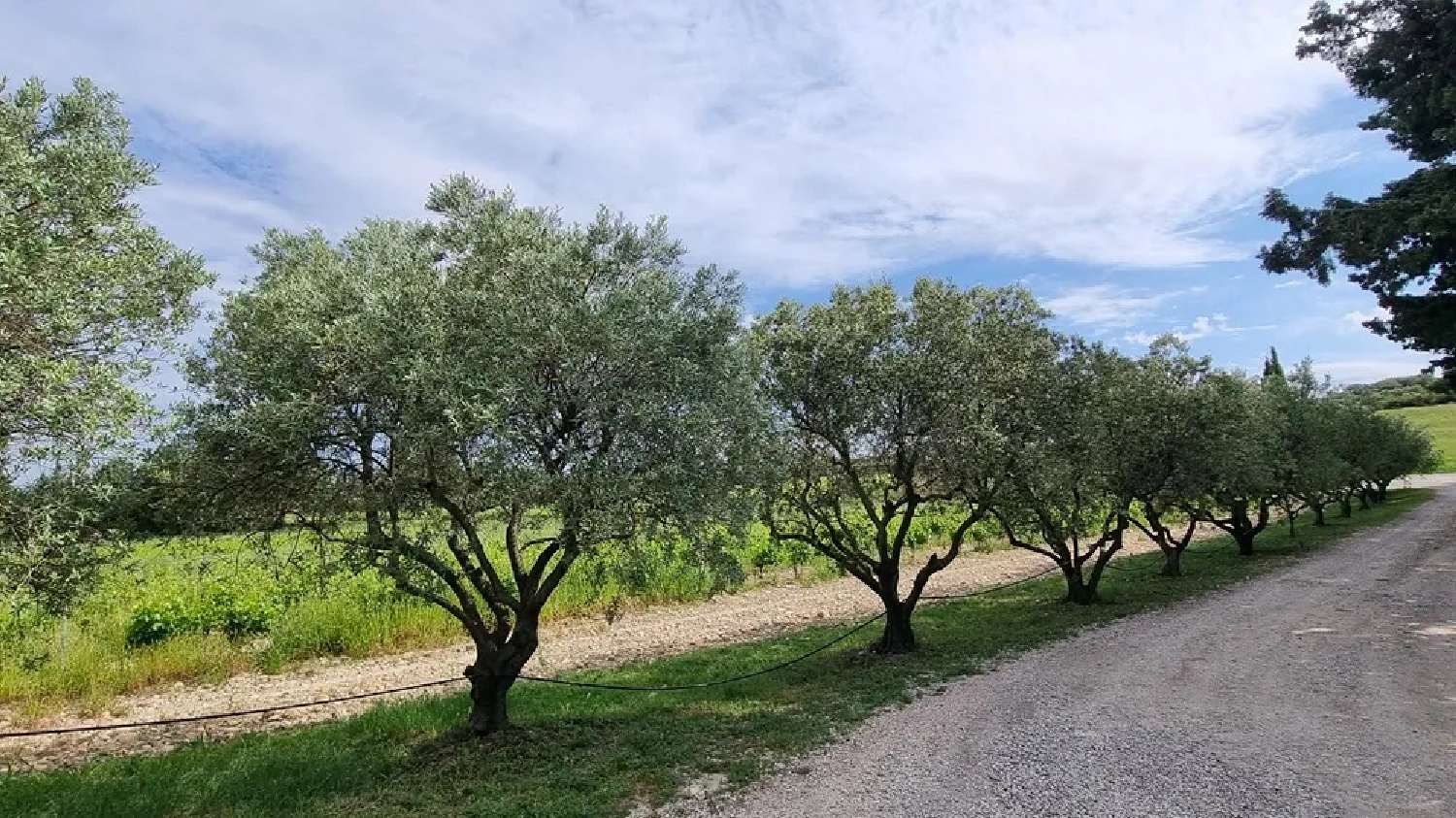  te koop wijngaard Avignon Vaucluse 3