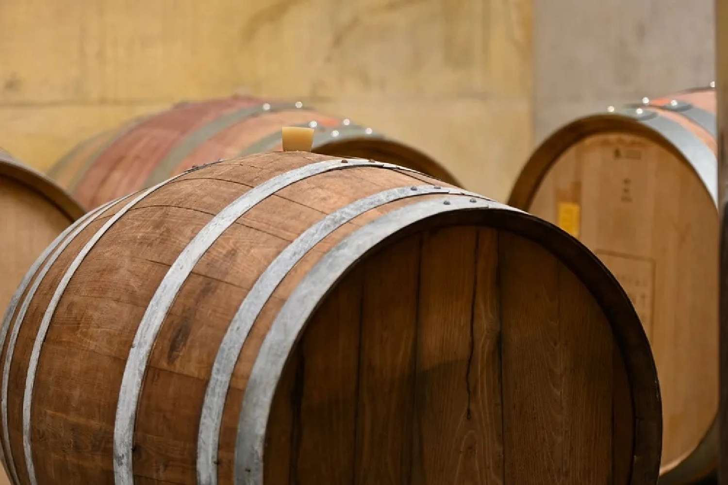 kaufen Weinberg Bollène Vaucluse 2