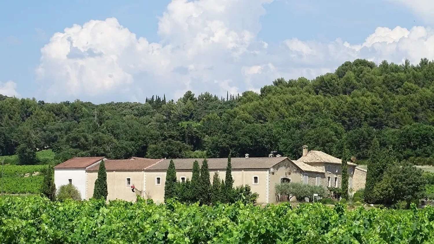  kaufen Weinberg Bollène Vaucluse 1