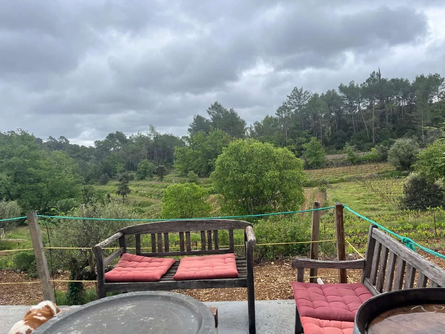 te koop wijngaard Carcès Var 7