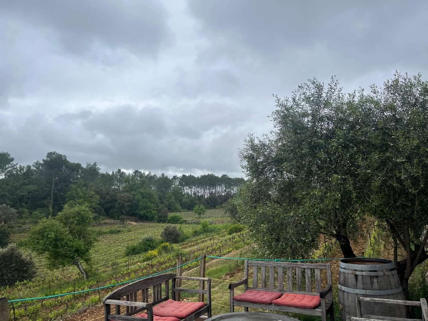  te koop wijngaard Carcès Var 8