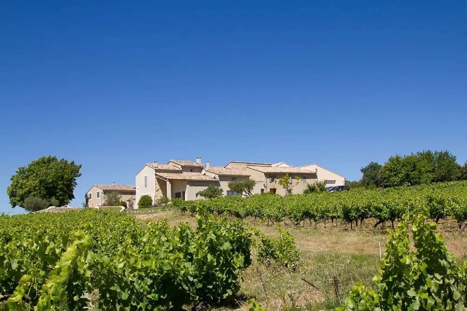 kaufen Weinberg Châteaudouble Var 2