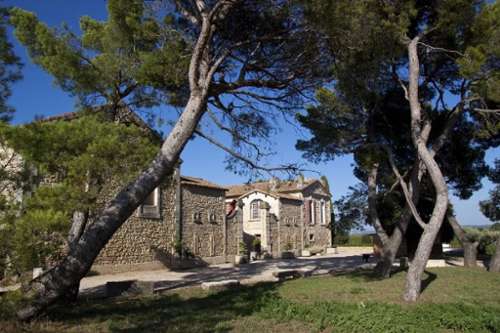 Draguignan Var Weinberg Bild 7307273