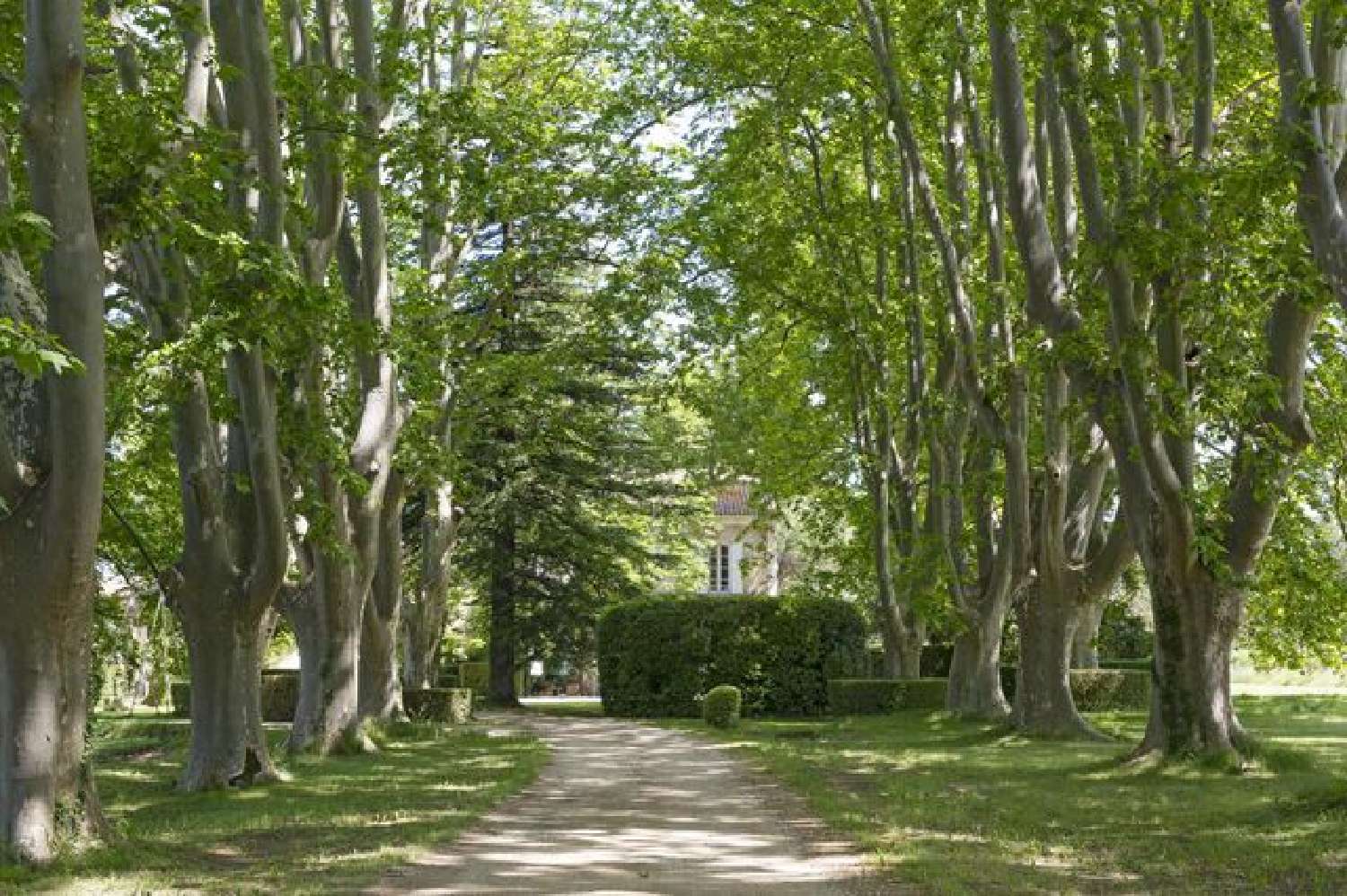 te koop wijngaard Gigondas Vaucluse 3