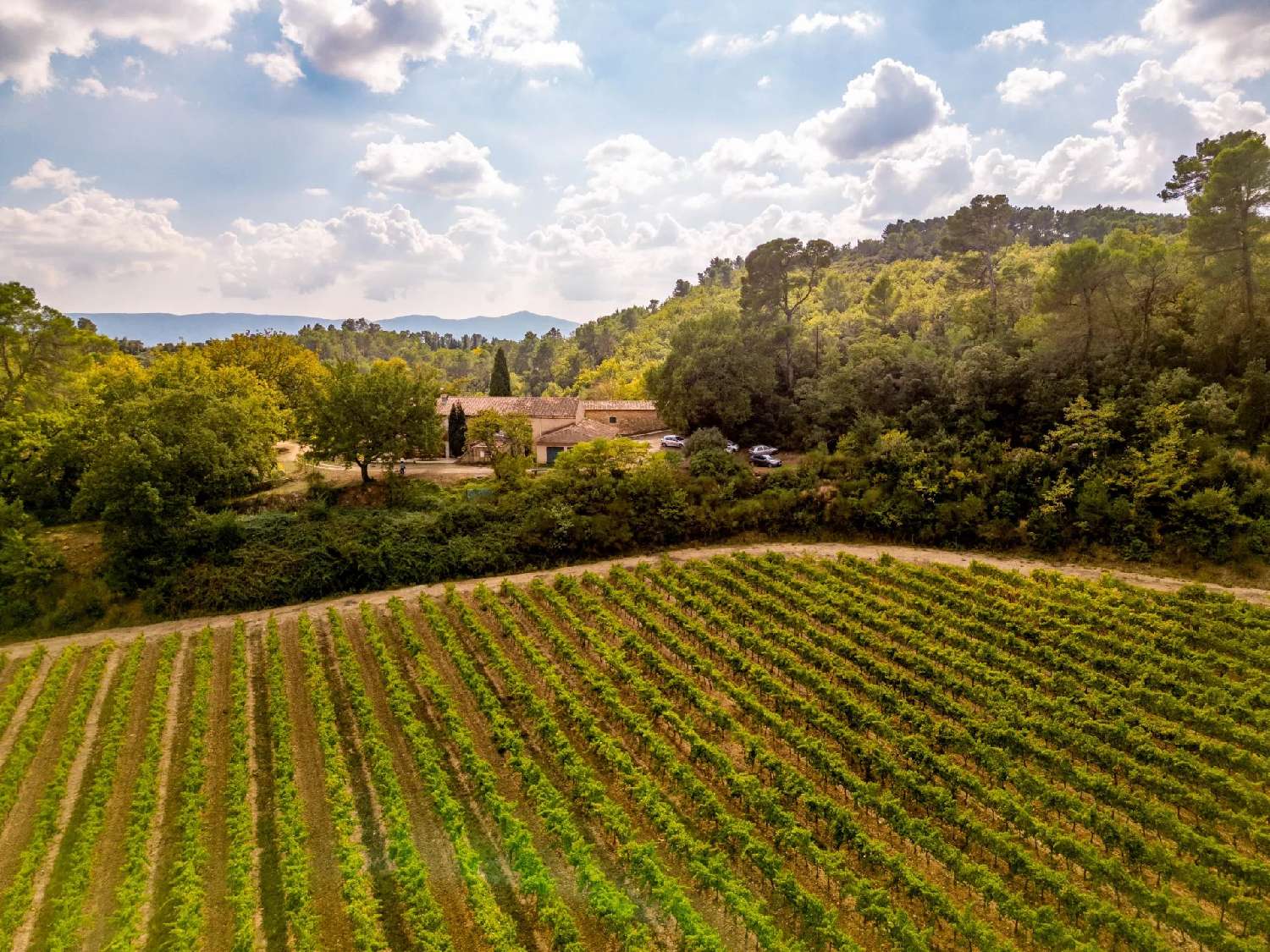  à vendre vignoble Le Cannet-des-Maures Var 3