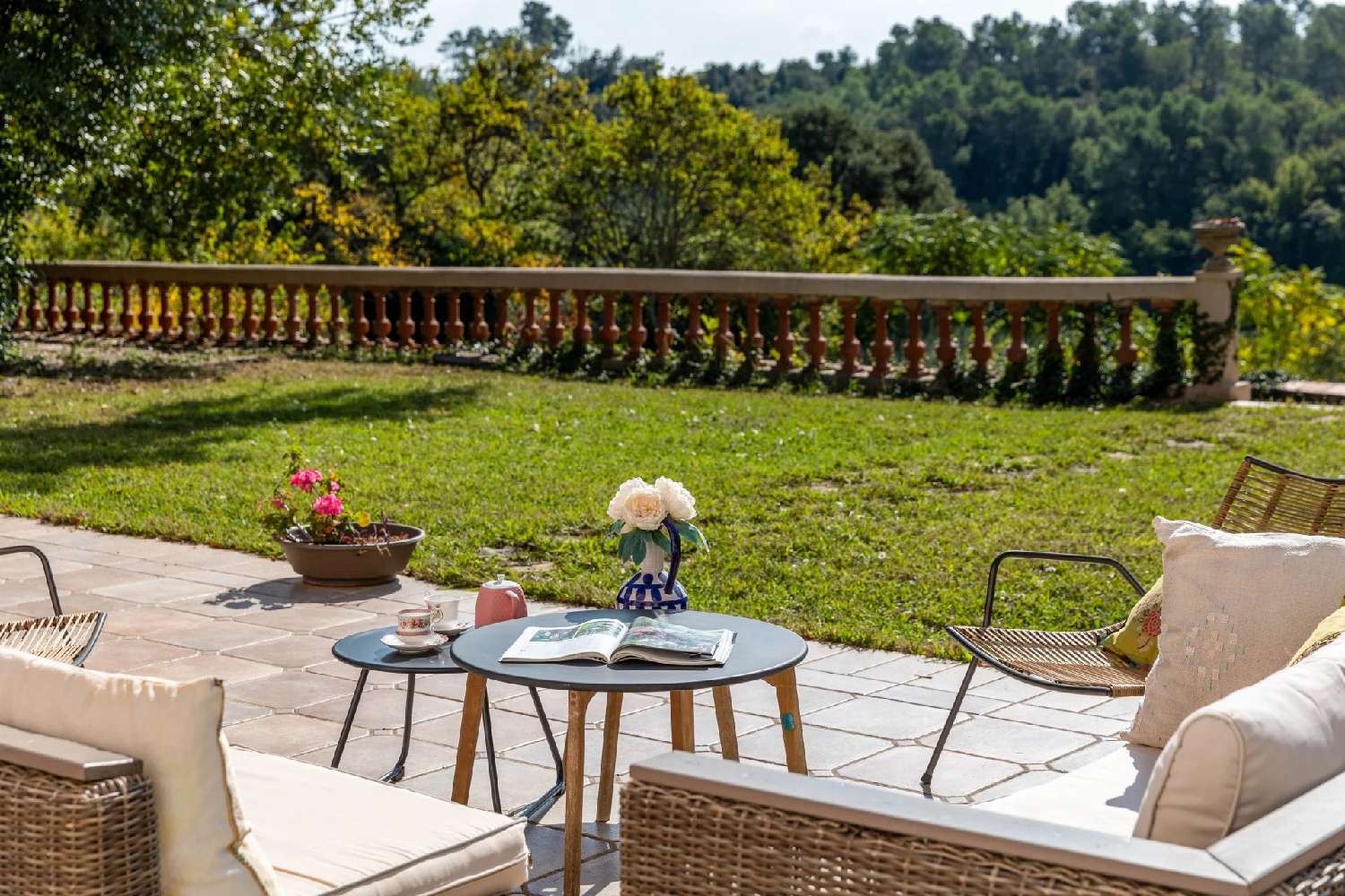  à vendre vignoble Le Cannet-des-Maures Var 7