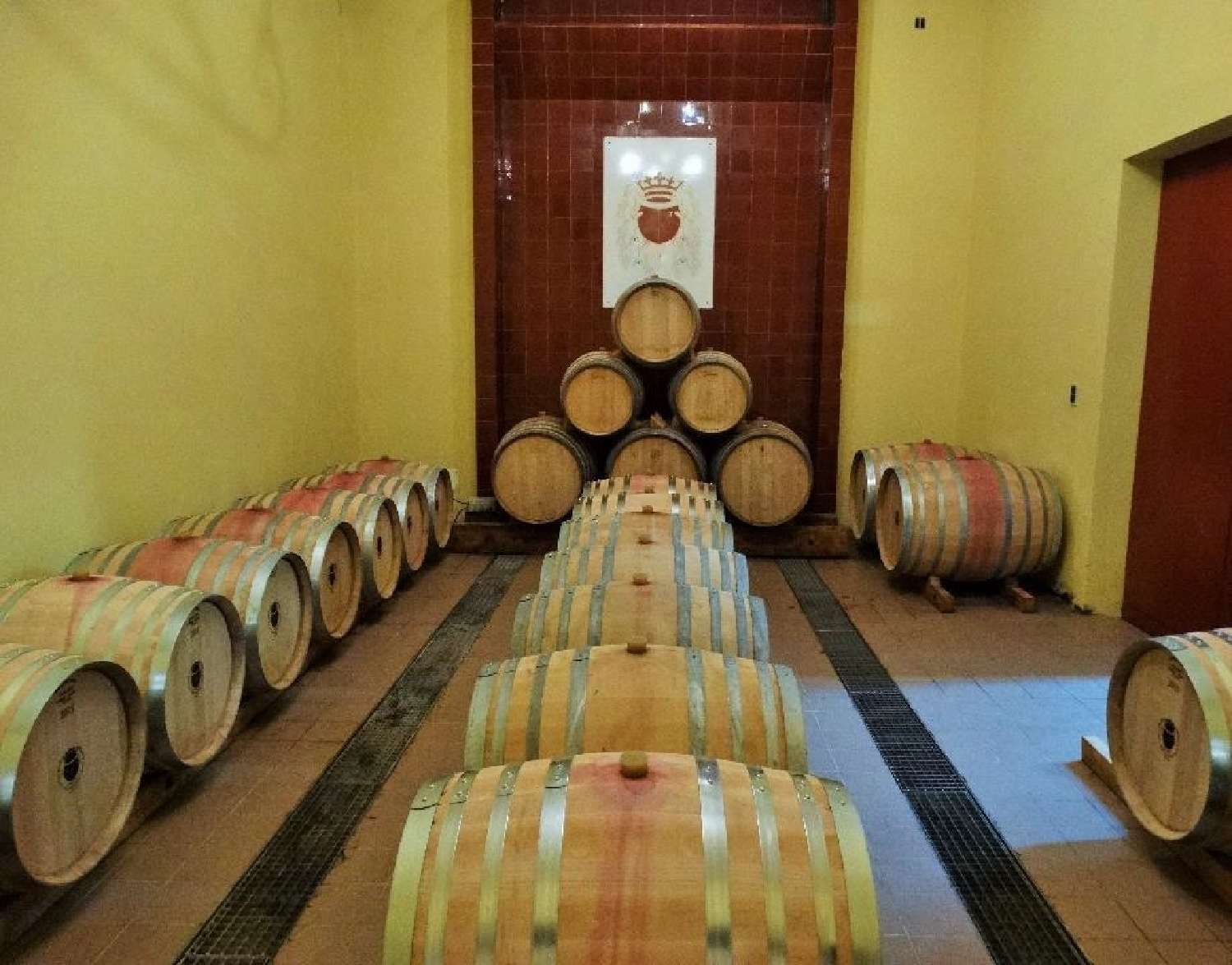  en venta viñedo Le Vibal Aveyron 1