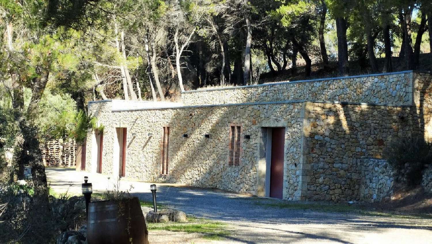  en venta viñedo Le Vibal Aveyron 3