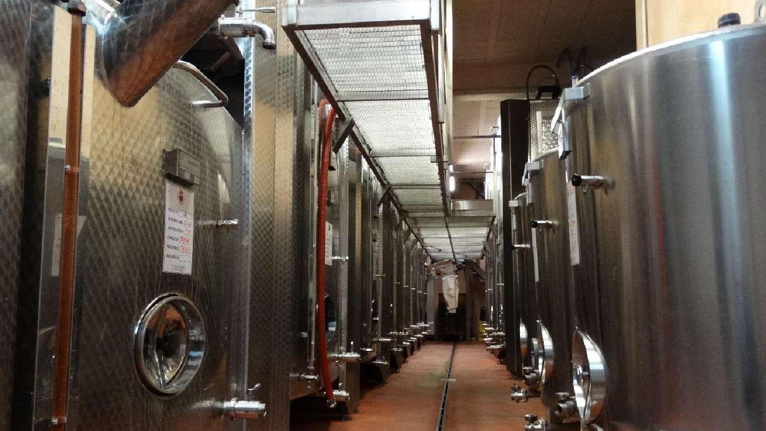  en venta viñedo Le Vibal Aveyron 4