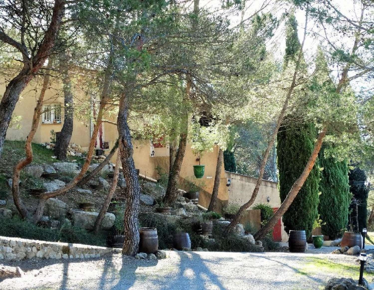  en venta viñedo Le Vibal Aveyron 8